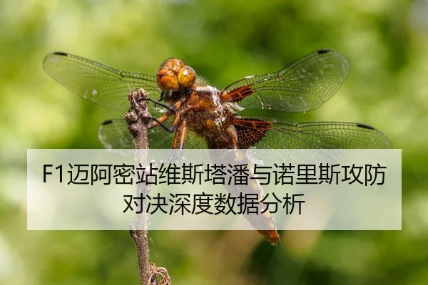 mai-a-mi-zhan-wei-si-ta-pan-yu-nuo-li-si-gong-fang-dui-jue-shen-du-shu-ju-fen-xi-3-370.jpg