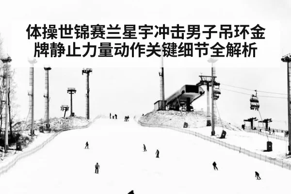 体操世锦赛兰星宇冲击男子吊环金牌静止力量动作关键细节全解析